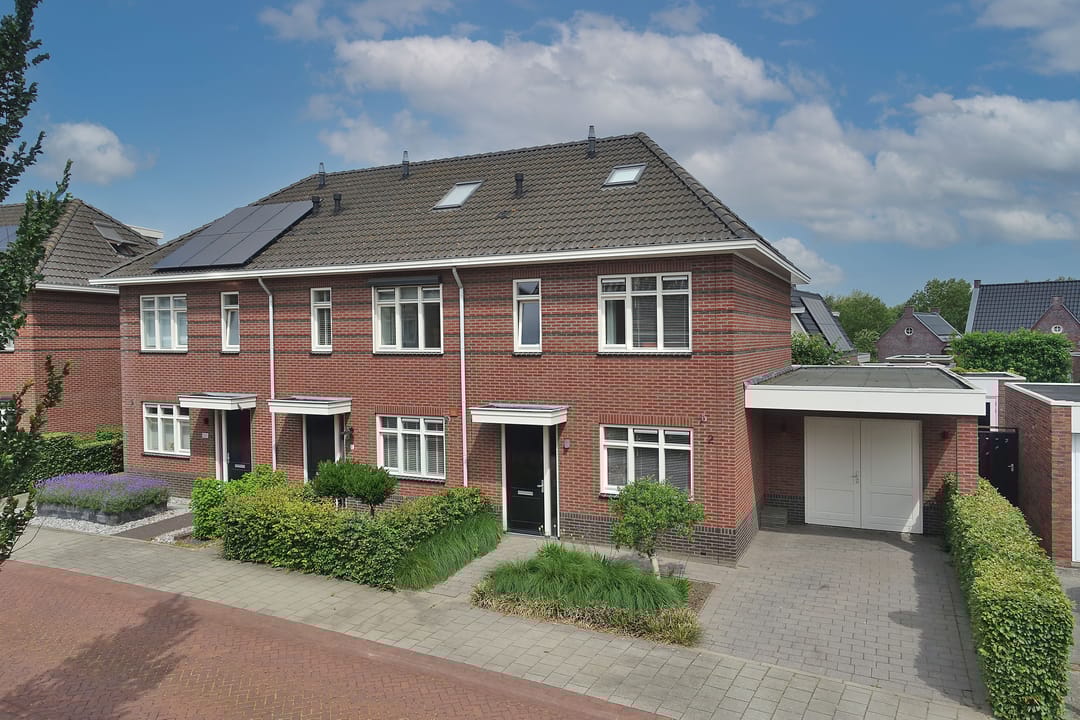 Foto 32 van Speenkruid 2