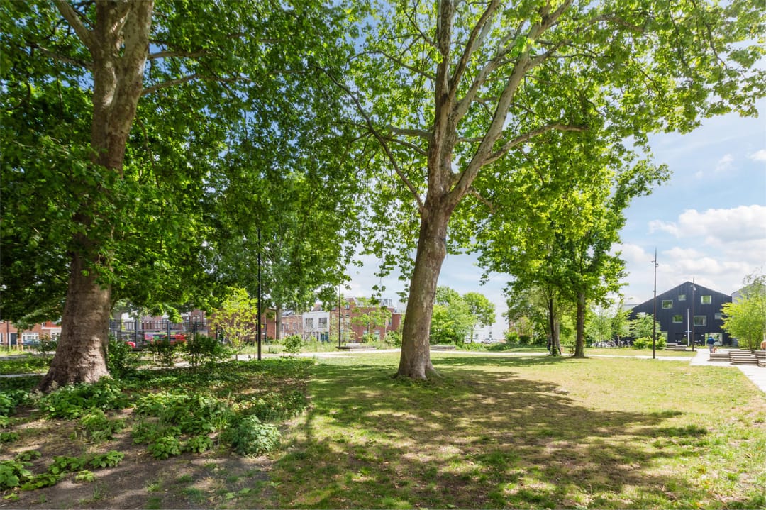 Foto 28 van Knopstraat 31