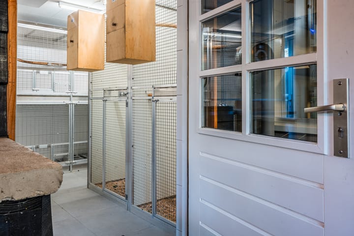 Foto 46 van De Ruijterstraat 45