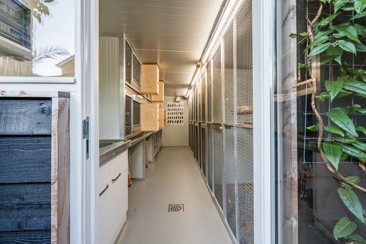 Foto 47 van De Ruijterstraat 45