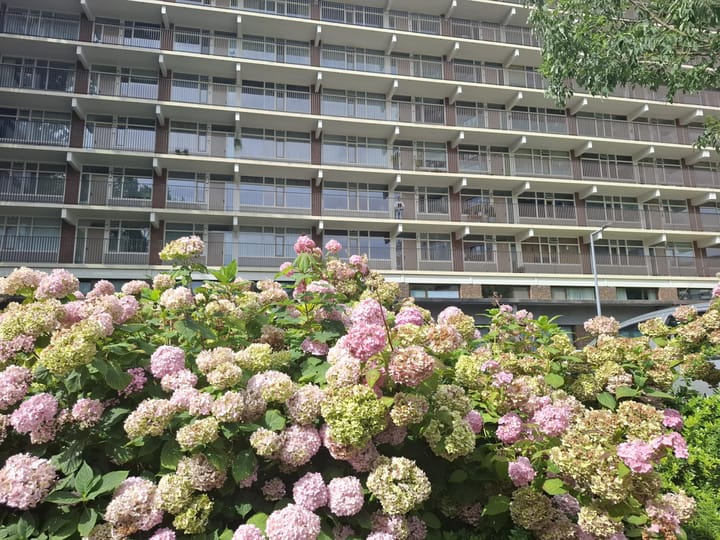 Foto 13 van Niels Bohrplaats 436