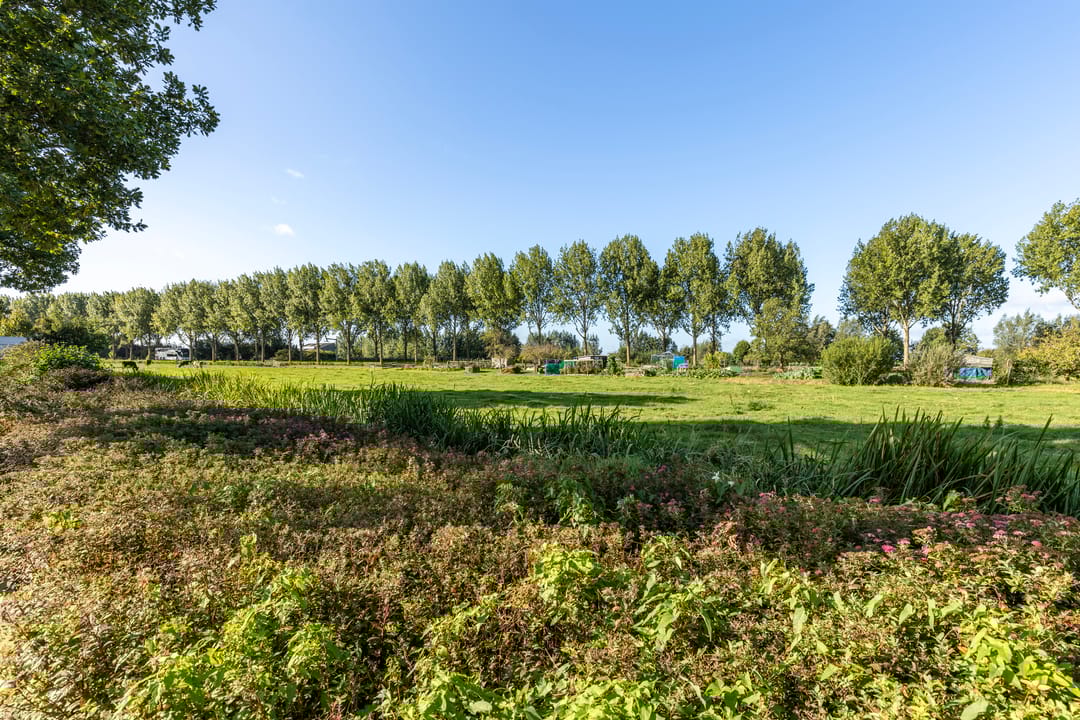 Foto 58 van Schoolstraat 15