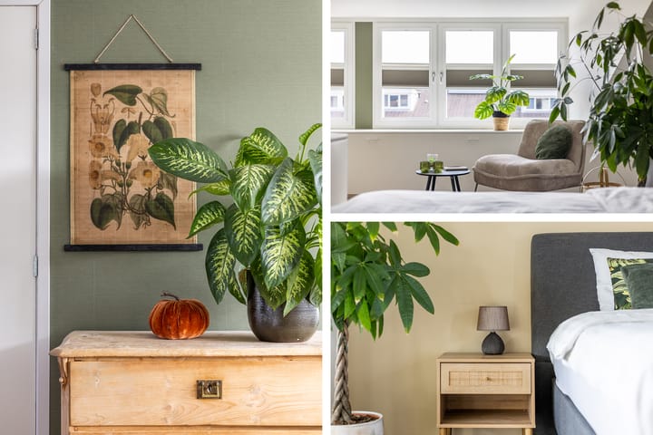 Foto 5 van Tigrisstraat 88