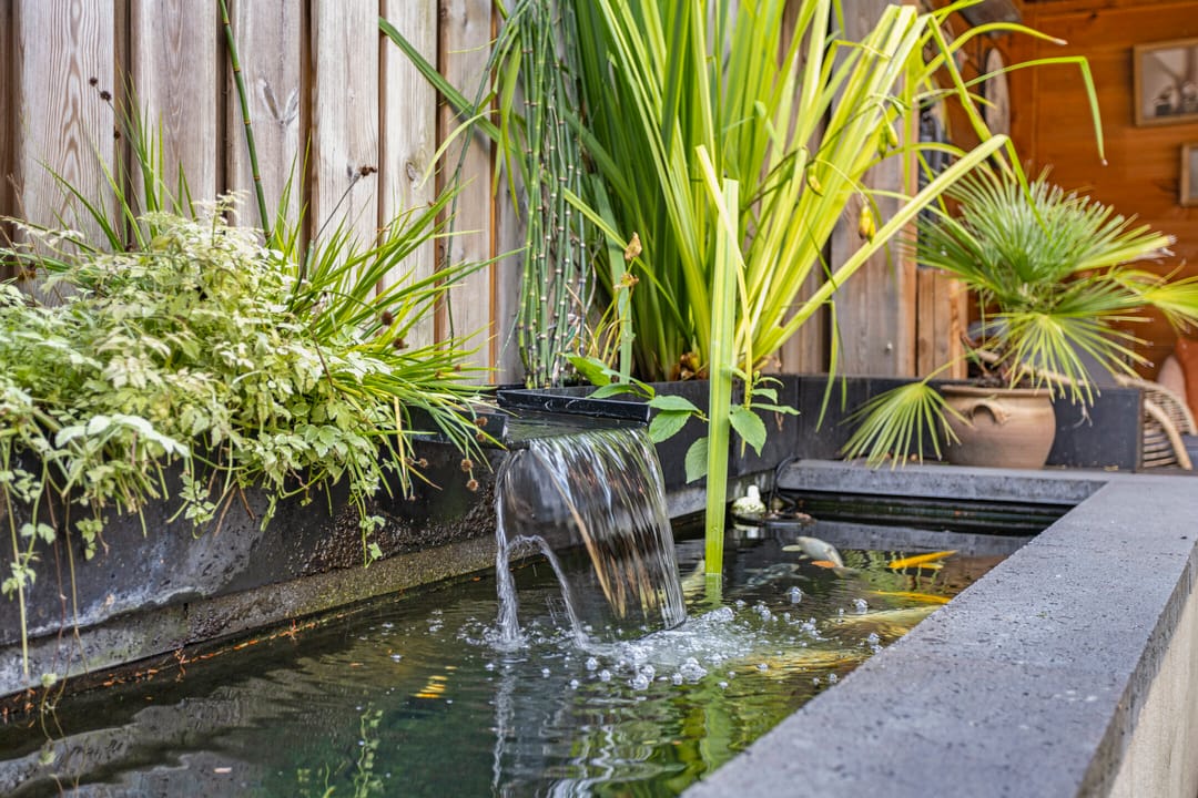 Photo 26 of Posthoorn 11-A