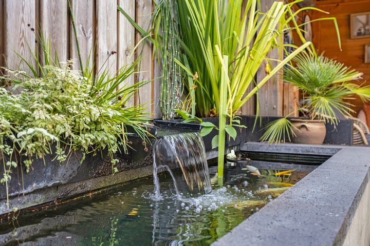 Photo 26 of Posthoorn 11-A