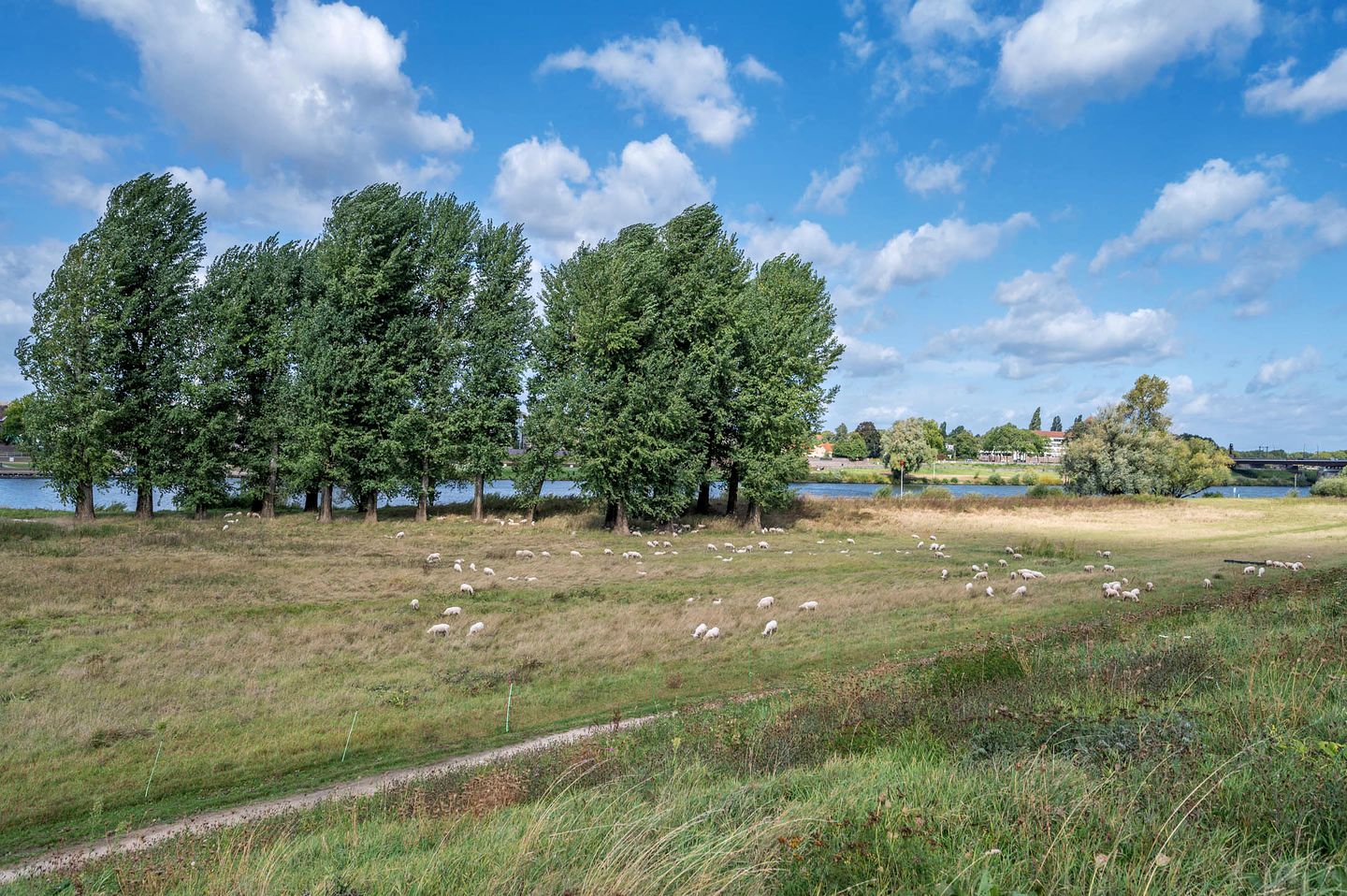 Foto 40 van Anne Frankstraat 194