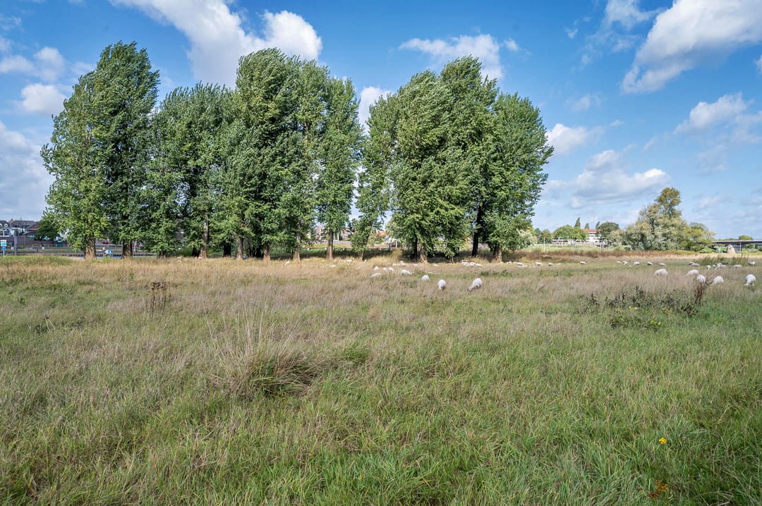 Foto 41 van Anne Frankstraat 194