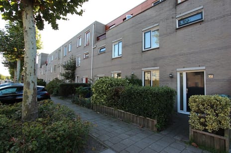 undefined main image