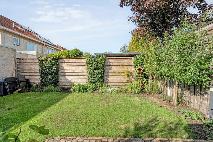 Foto 33 van Luzernevlinder 107