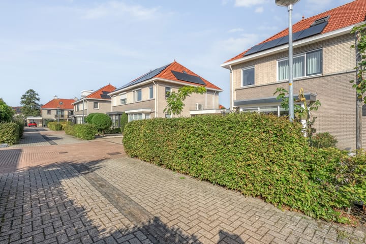 Foto 36 van Luzernevlinder 107