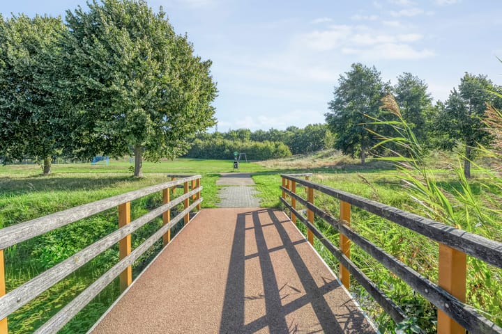 Foto 39 van Luzernevlinder 107