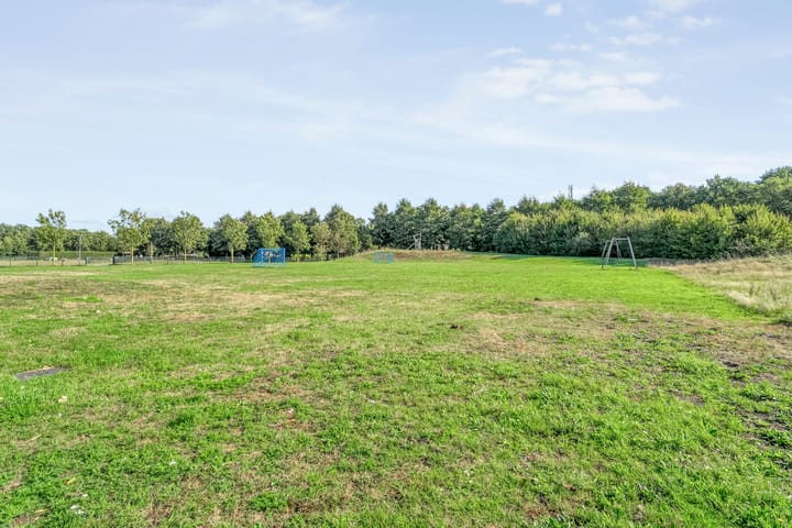 Foto 40 van Luzernevlinder 107