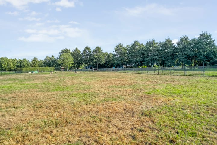 Foto 41 van Luzernevlinder 107