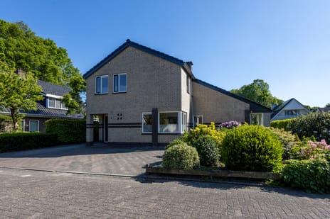 undefined main image