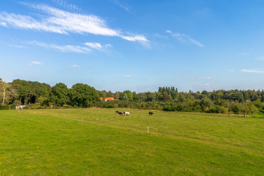 Foto 11 van Sterkenburgerlaan 93