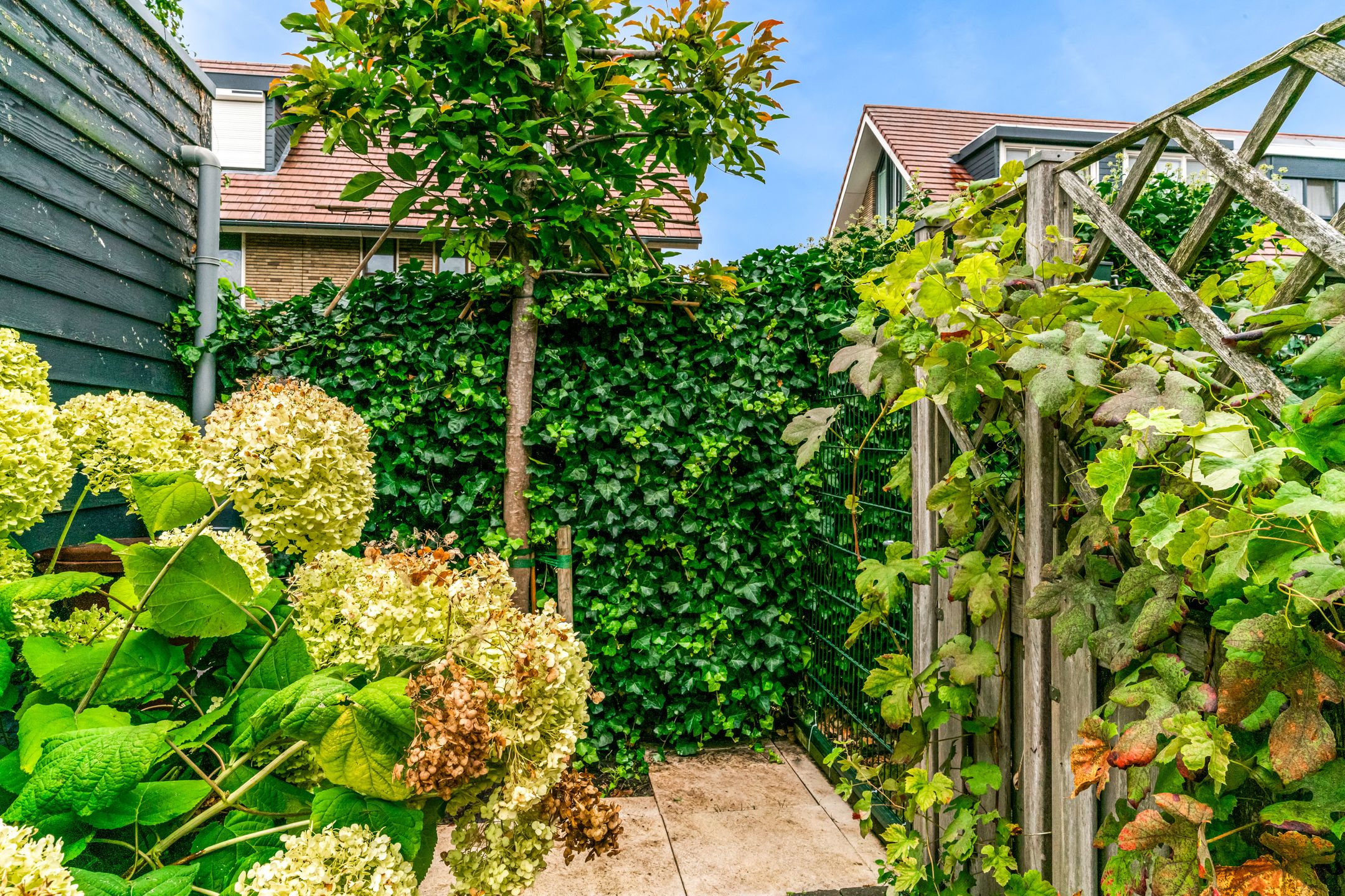 Foto 24 van Madameperenlaan 89