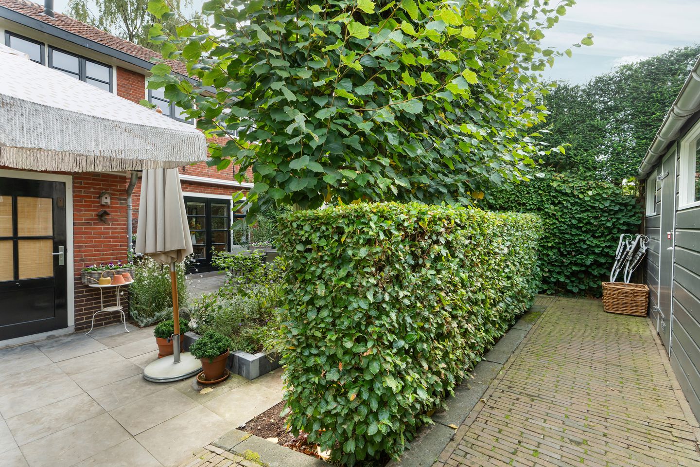 Foto 55 van Torckstraat 1