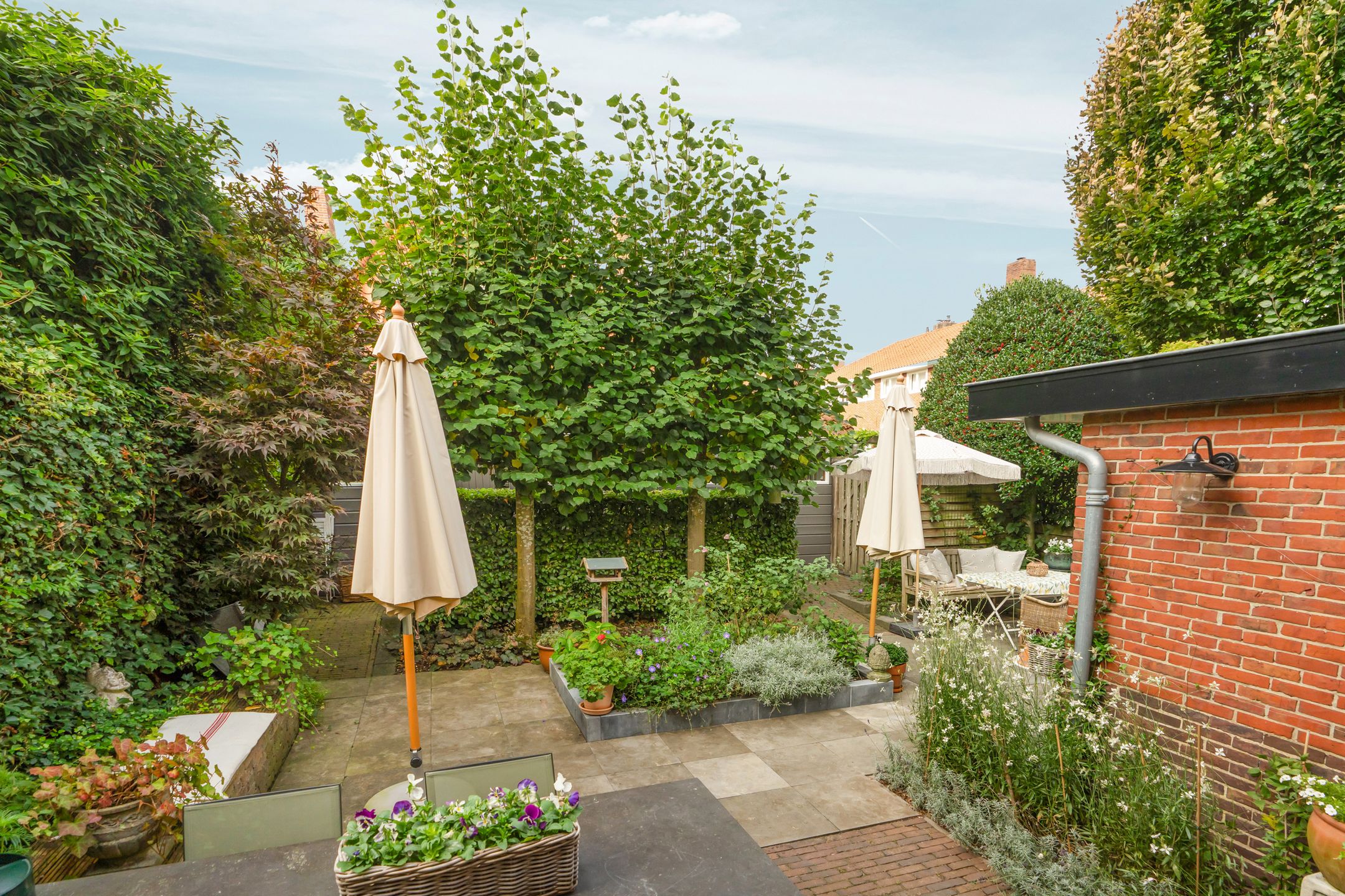 Foto 57 van Torckstraat 1