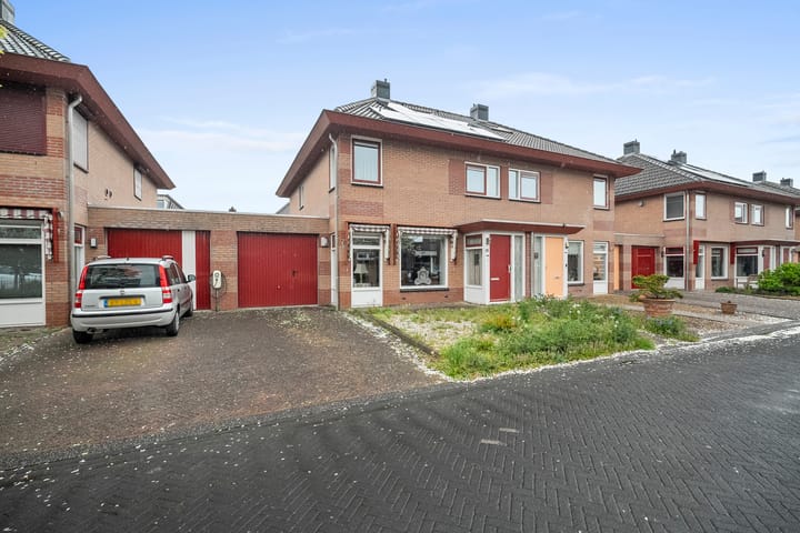 Mossel 16 main image