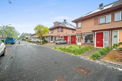 Mossel 16 secondary image