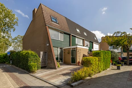 undefined main image