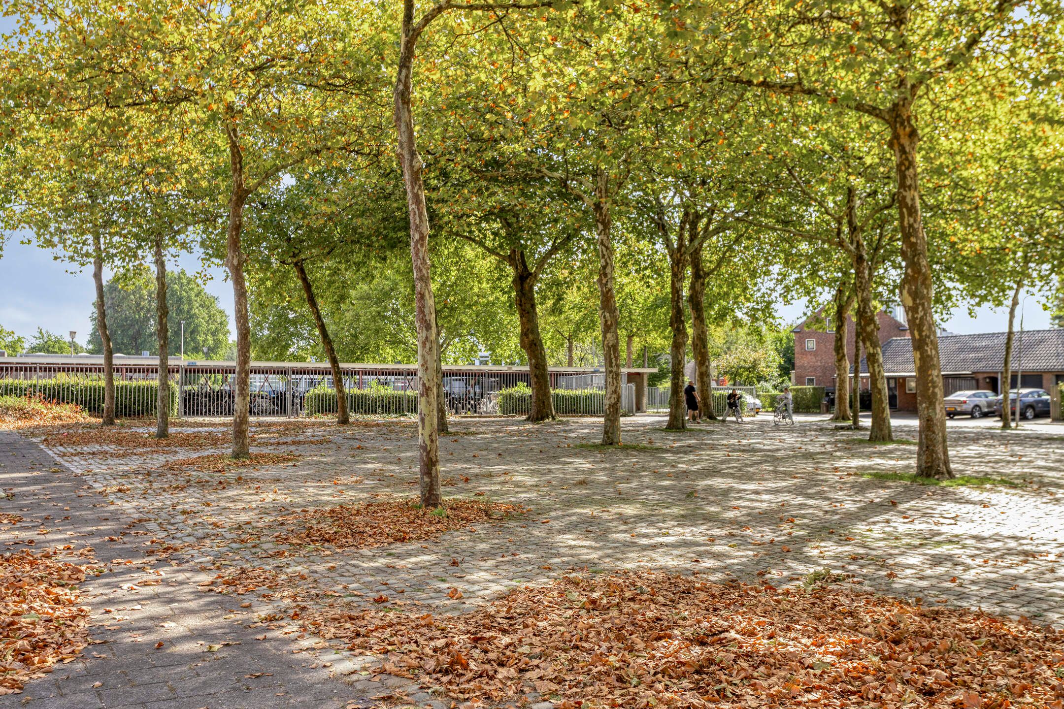 Foto 21 van Hertzogstraat 7-B