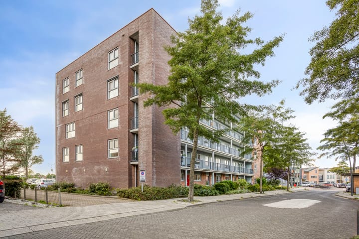 Photo 15 of Rode Ring 215