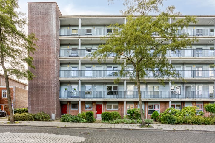 Photo 16 of Rode Ring 215