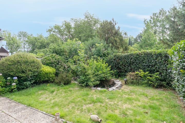 Foto 5 van Wijsthoek 519