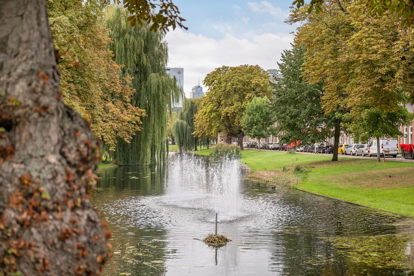 Photo 34 of Bergsingel 51-A