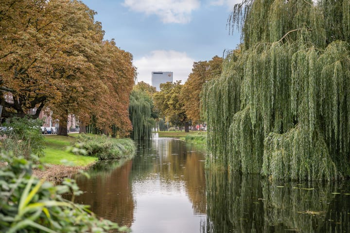 Foto 35 van Bergsingel 51-A