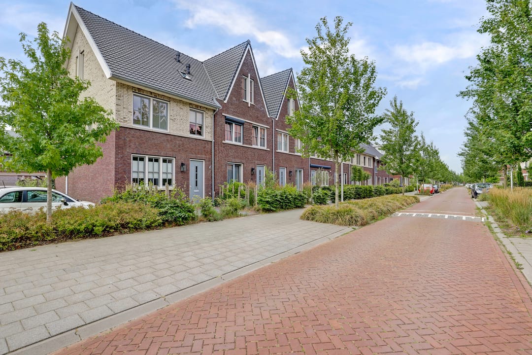 Photo 1 of Zaaivat 2