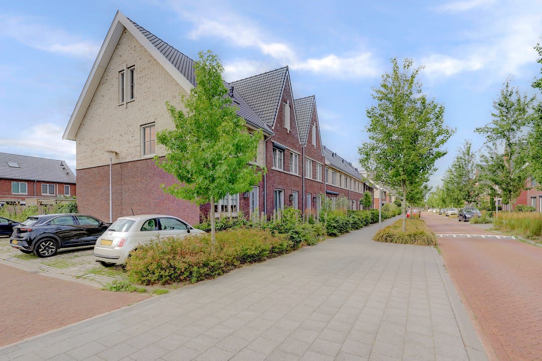 Photo 26 of Zaaivat 2