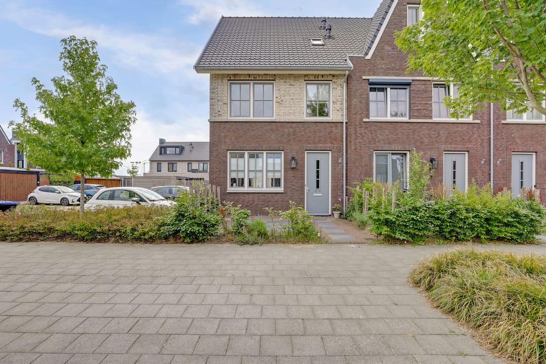 Photo 41 of Zaaivat 2