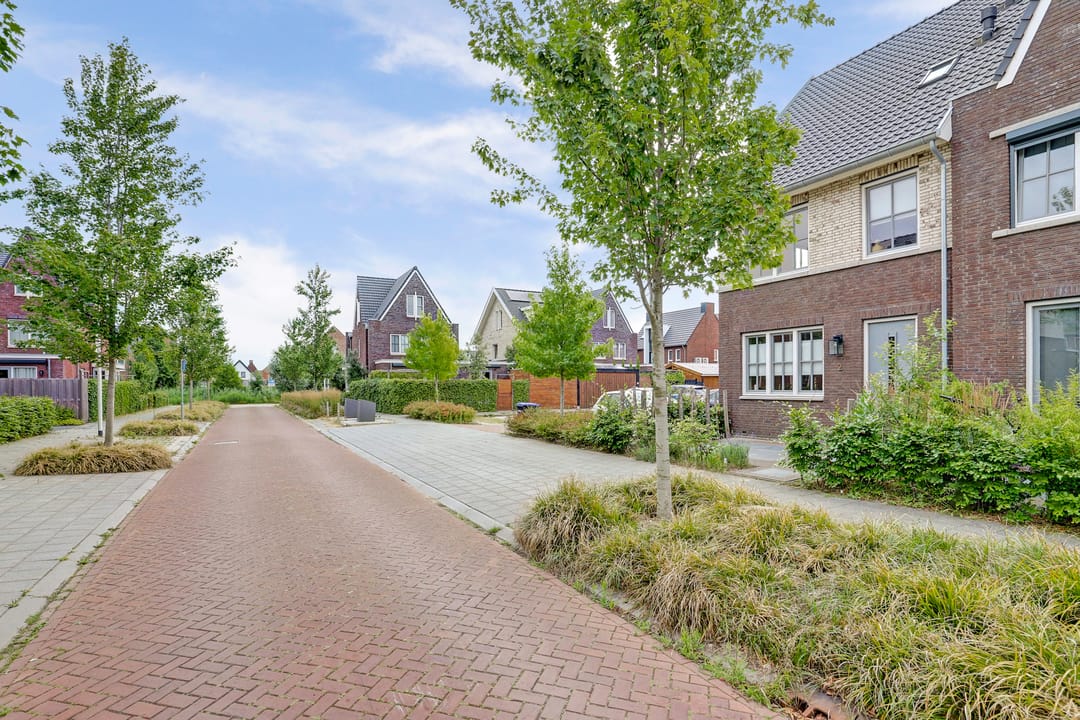 Photo 43 of Zaaivat 2