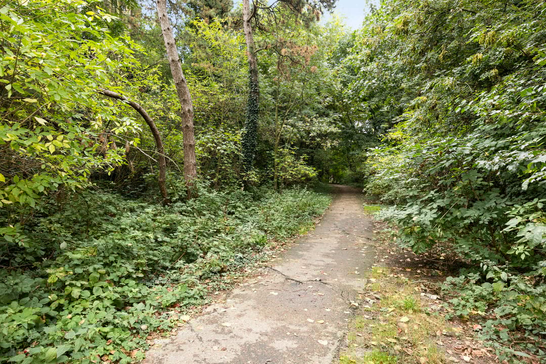 Foto 37 van Brusselsestraat 10