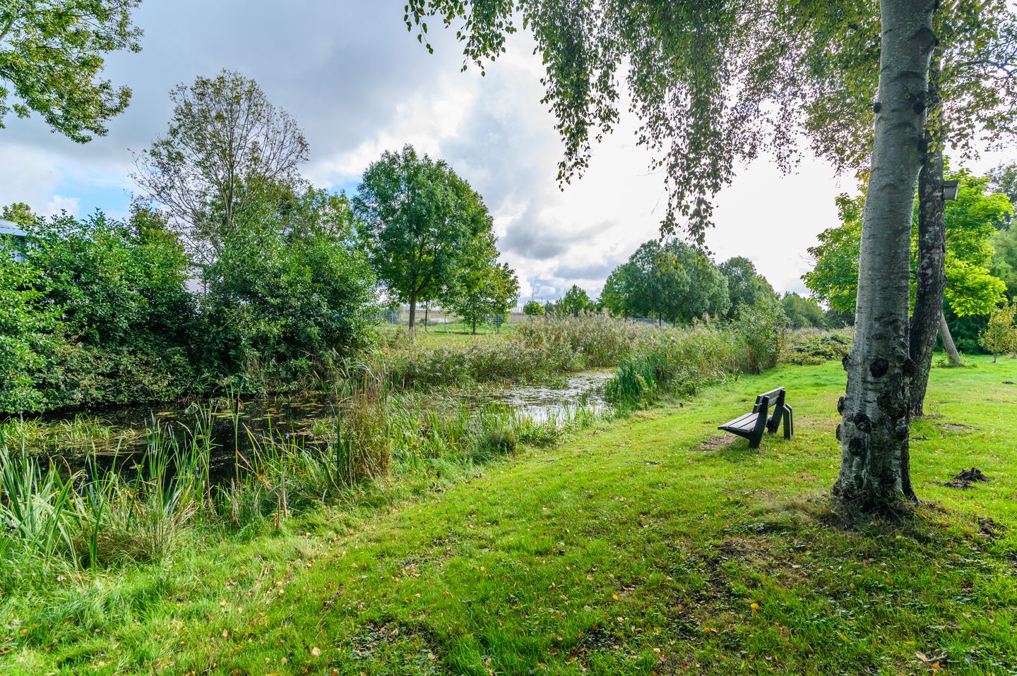 Foto 49 van J H Jurresstraat 16