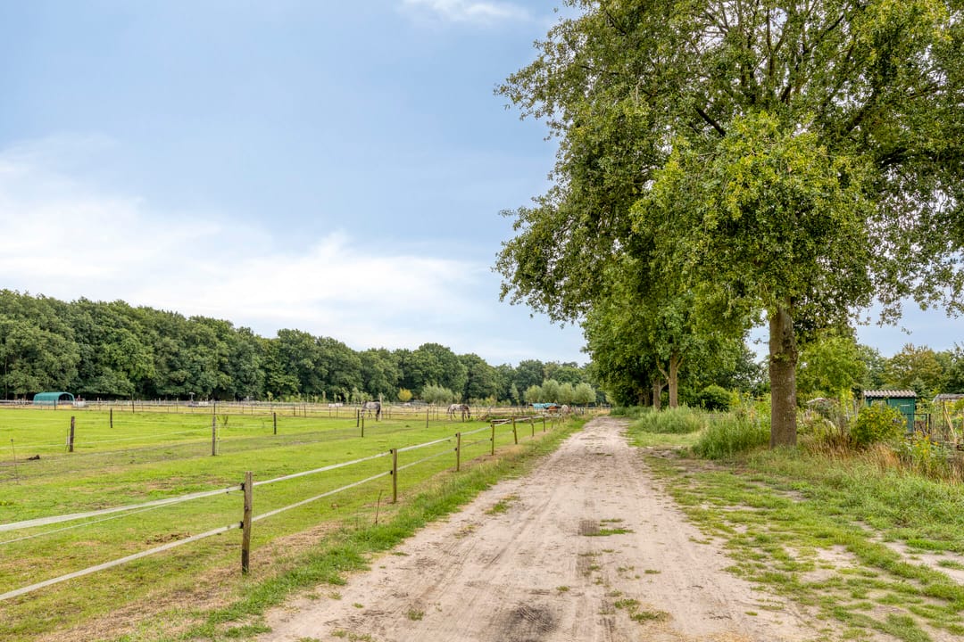 Foto 43 van Händellaan 8