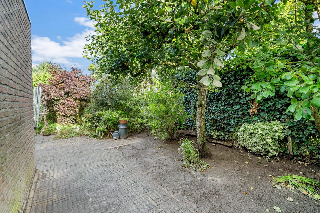 Foto 28 van Morgenster 3