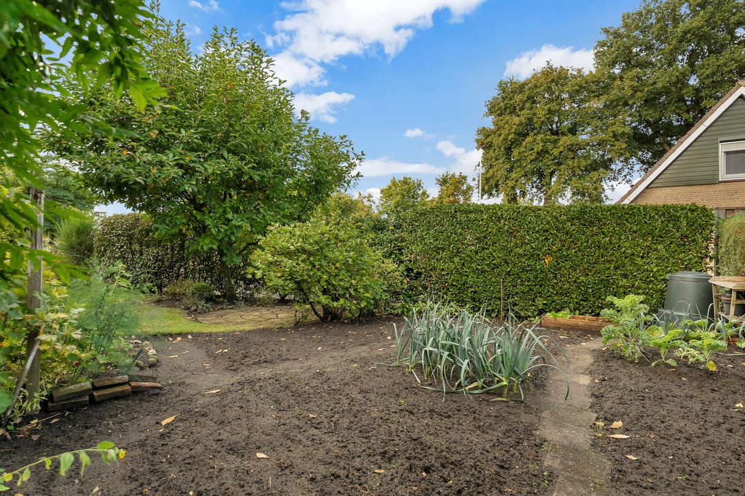 Foto 31 van Morgenster 3