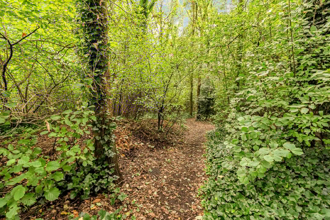 Foto 61 van Hupselseweg 62