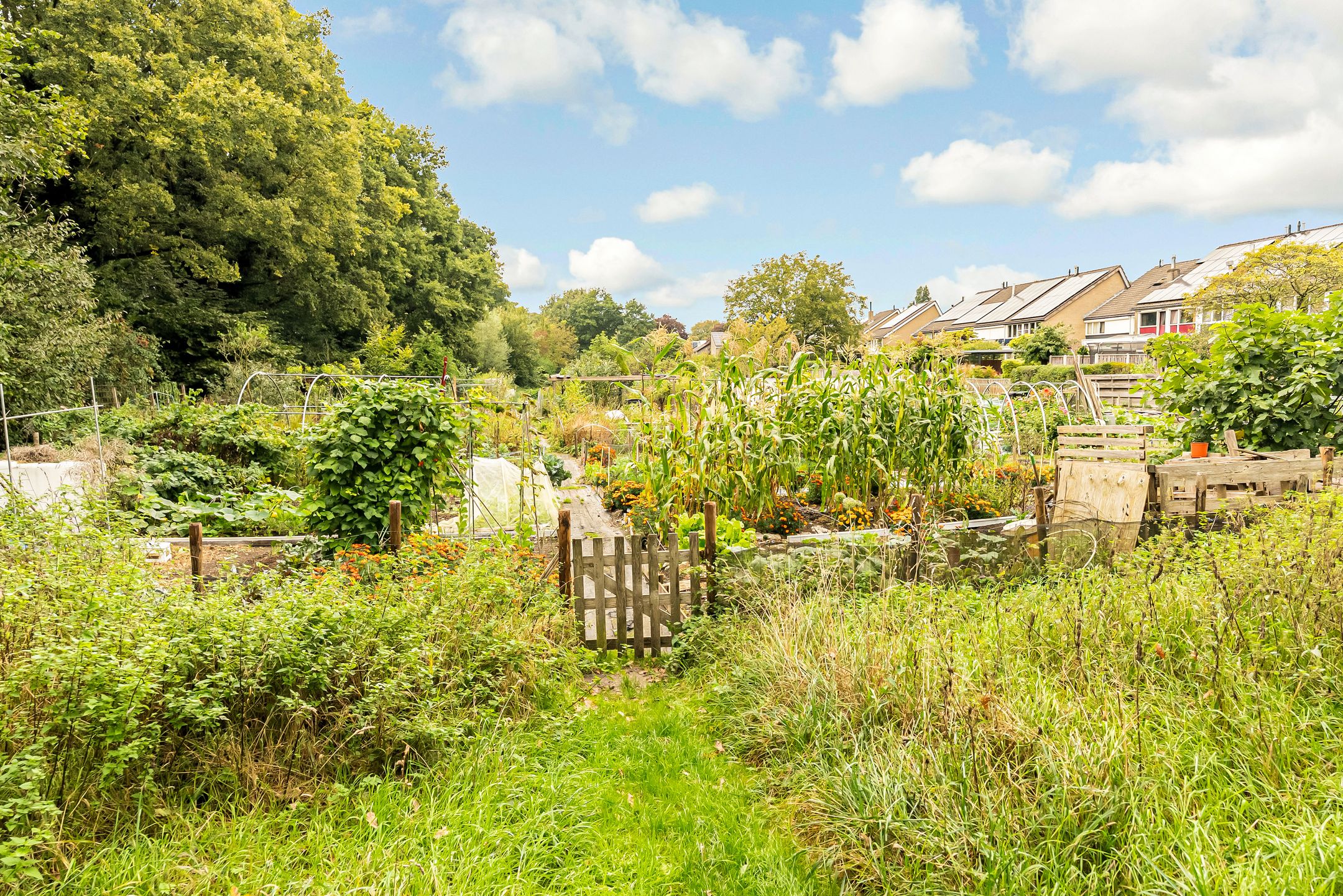 Foto 60 van Hupselseweg 62