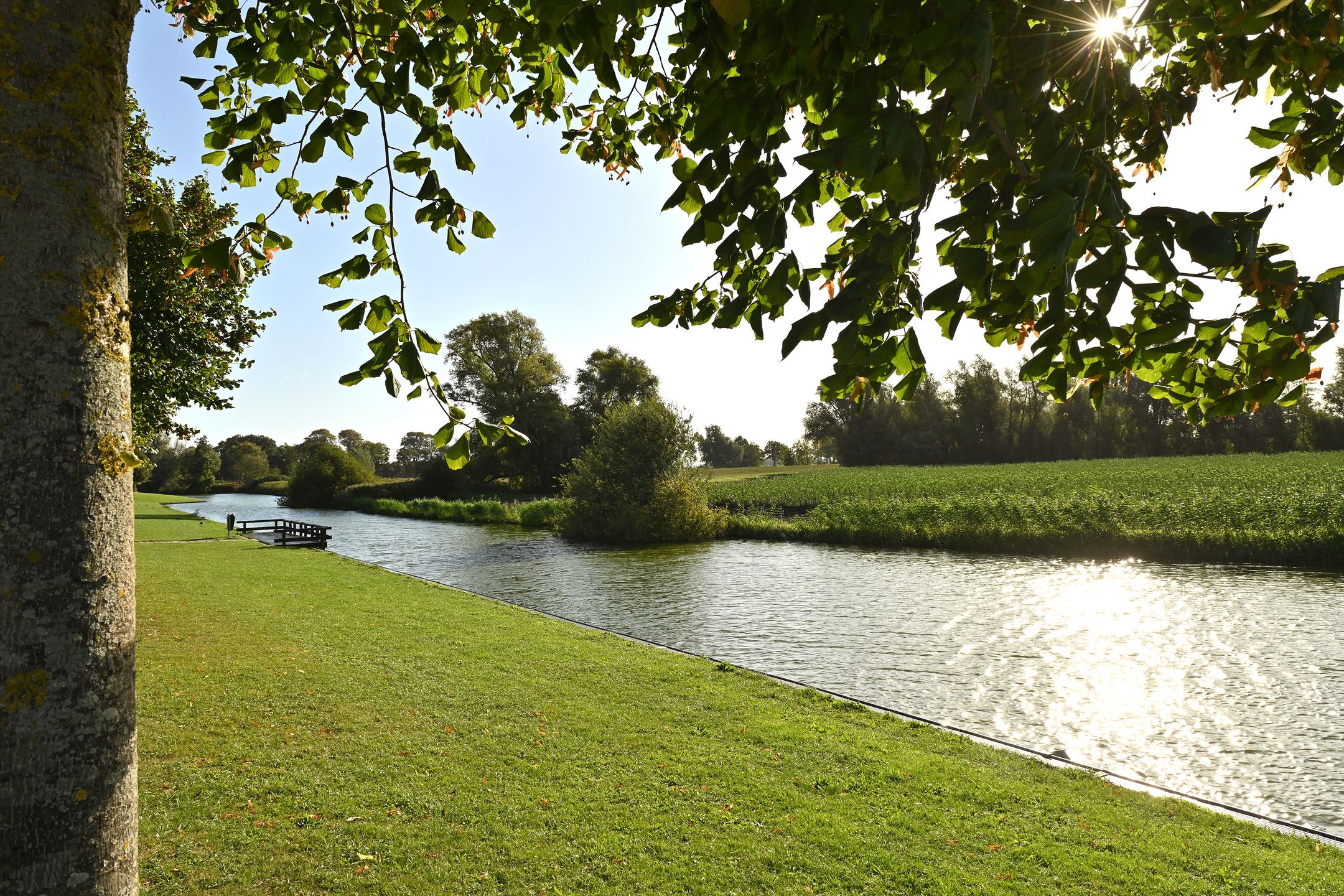 Foto 3 van Middenwal 5