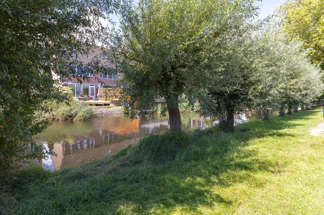 Foto 38 van Dirk Wierengastraat 11