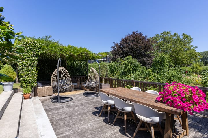 Foto 49 van Schapenweide 8