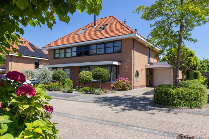 Foto 66 van Schapenweide 8