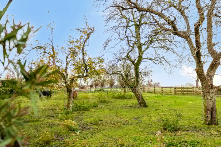 Photo 37 of Dorpsweg 165