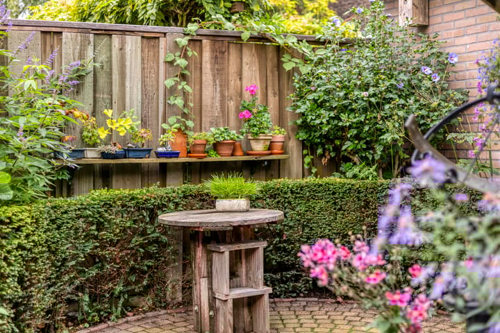 Photo 31 of Hogelandsingel 164