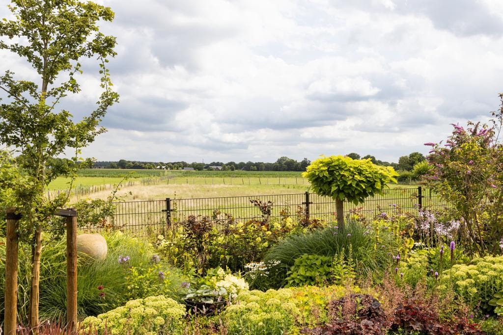 Photo 19 of Blekemeer 20