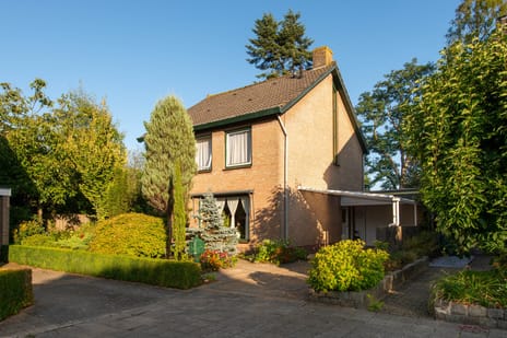 Renatusdonk thumbnail